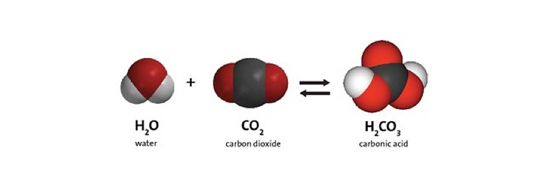 Carbonic acid formation